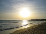IMG_0037.jpg