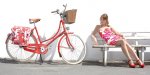 Retro bike.jpg