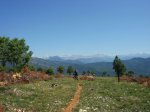 DSC08720.jpg