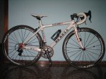 de rosa 001.JPG