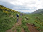 IMG_2057.JPG