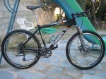 BICI.JPG