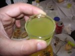 kdd 2006 limonccelo (3).JPG