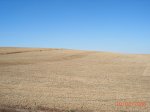 PIC_0061.jpg