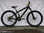 bikepic_732_1.jpg
