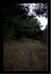 vereda_02.jpg
