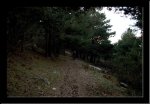 vereda_03.jpg