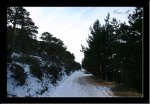 vereda_14.jpg