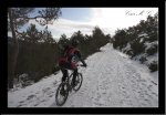 vereda_21.jpg