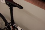 restiling cerv&#233;lo 008.jpg