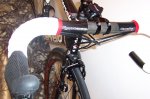 restiling cerv&#233;lo 007.jpg