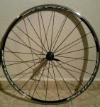 equipe reducida2.jpg