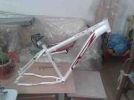Imagen0370.jpg
