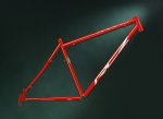 rojo.jpg