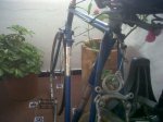 IMG00097-20110601-0802.jpg