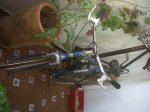 IMG00103-20110601-0804.jpg