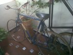 IMG00096-20110601-0802.jpg