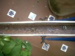 IMG00102-20110601-0804.jpg