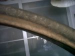 IMG00095-20110601-0801.jpg