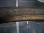 IMG00093-20110601-0801.jpg