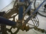 IMG00089-20110524-1759.jpg