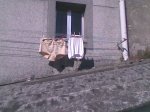 Imagen001.jpg