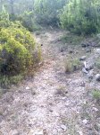 Imagen0459 (Medium).jpg