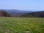 DSC04240.JPG