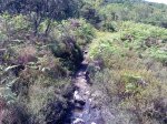 DSC04244.JPG