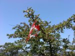 DSC04245.JPG