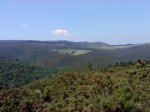 DSC04254.JPG