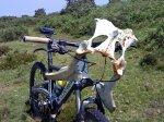 DSC04257.JPG