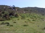 DSC04259.JPG