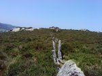 DSC04267.JPG