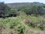 DSC04273.JPG