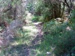 DSC04274.JPG