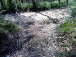DSC04275.JPG