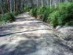 DSC04276.JPG