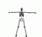 Esqueleto%20ejercicio.gif