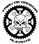 TRIBU LOGO.jpg