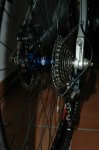 DSC_2491.JPG