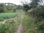 DSCF1319.JPG