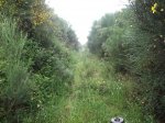 DSCF1322.JPG