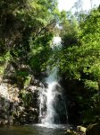 P1030445 (Copiar).JPG