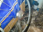 20110604_004.jpg