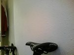 Picture0013.jpg