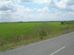 700188 (Small).JPG