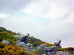 Foto44.JPG