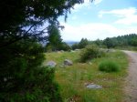 Foto59.JPG