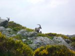 Foto42.JPG